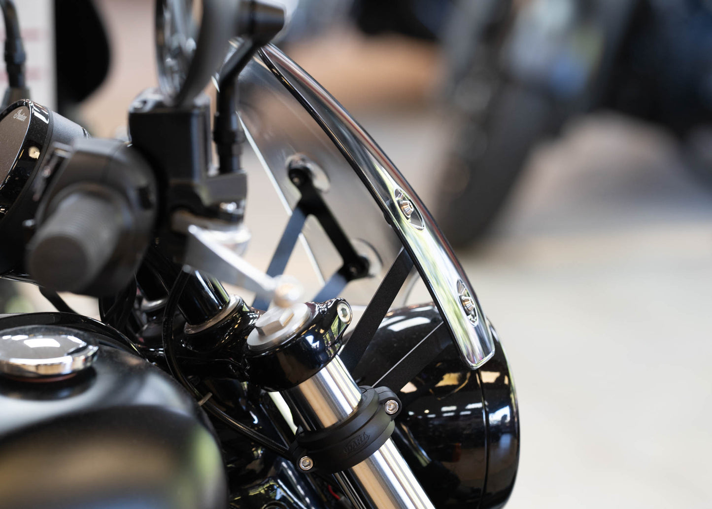 Indian Chief Dark Horse