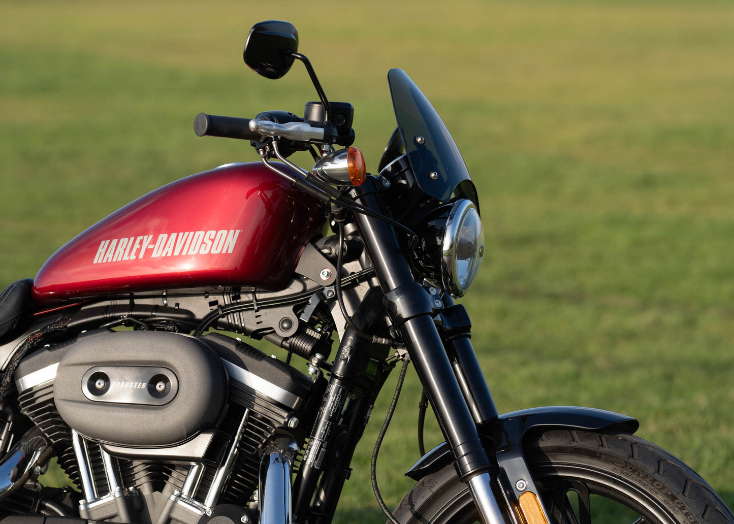 Harley-Davidson XL1200CX Roadster