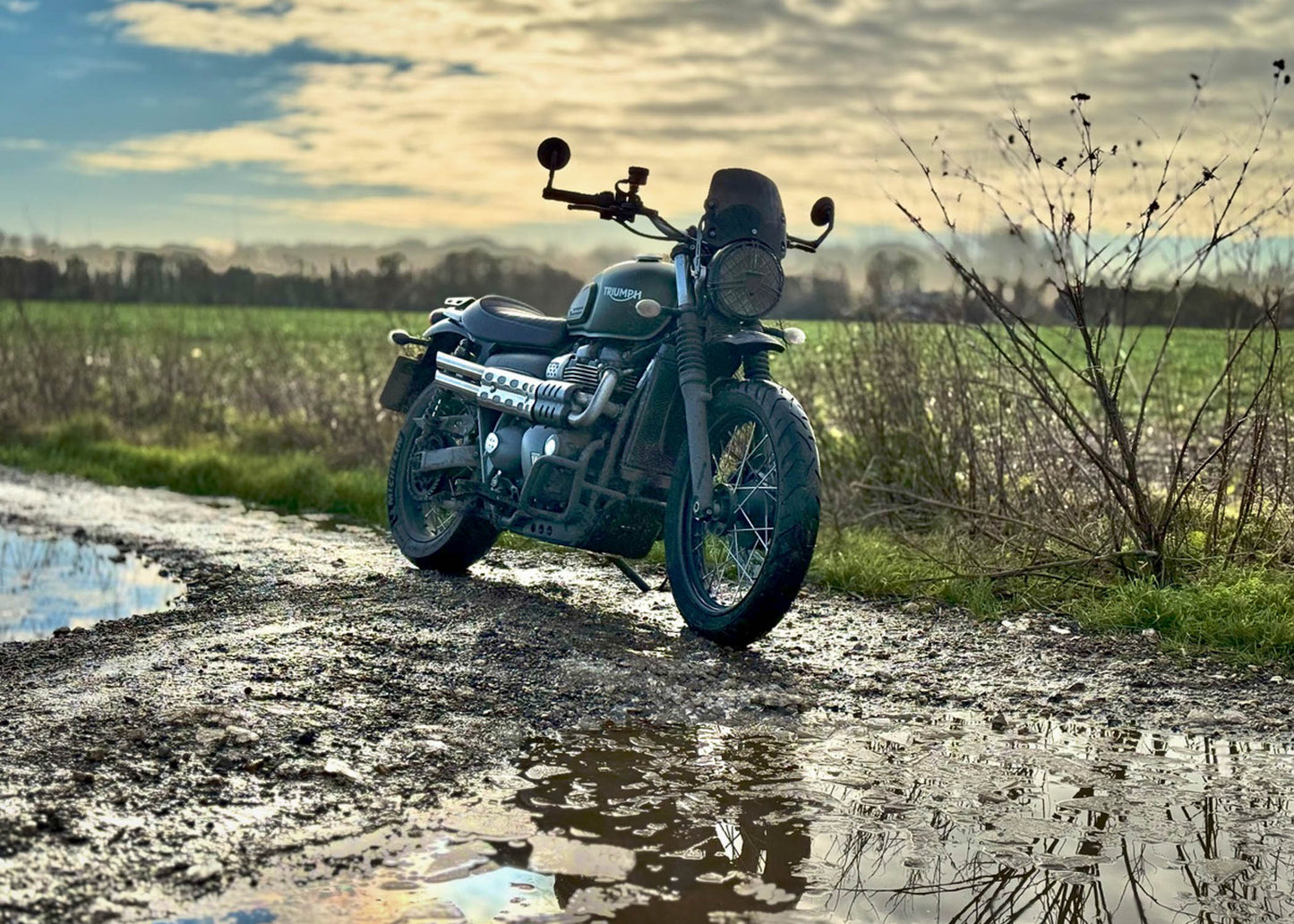 Triumph Street Scrambler 900