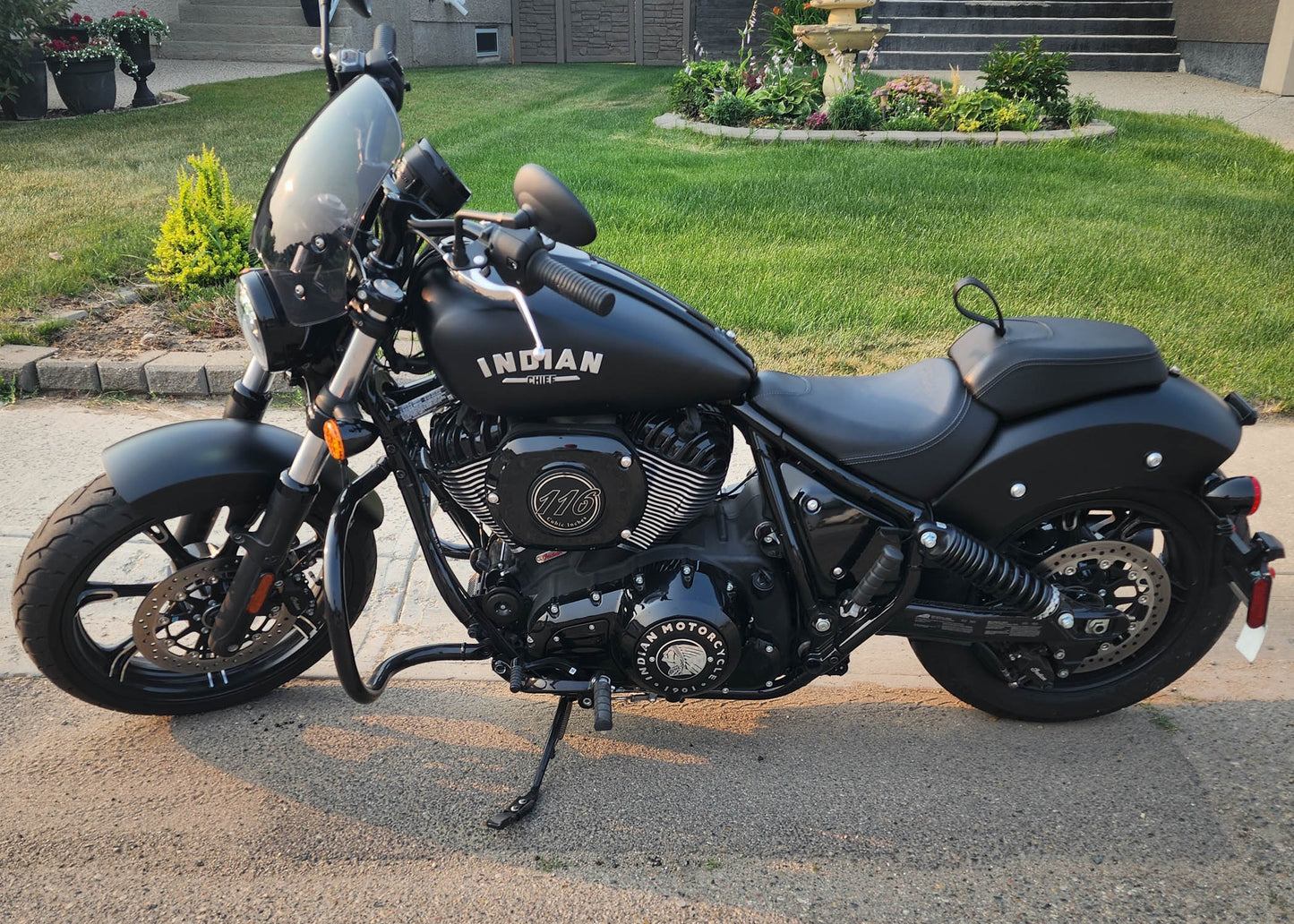 Indian Chief Dark Horse