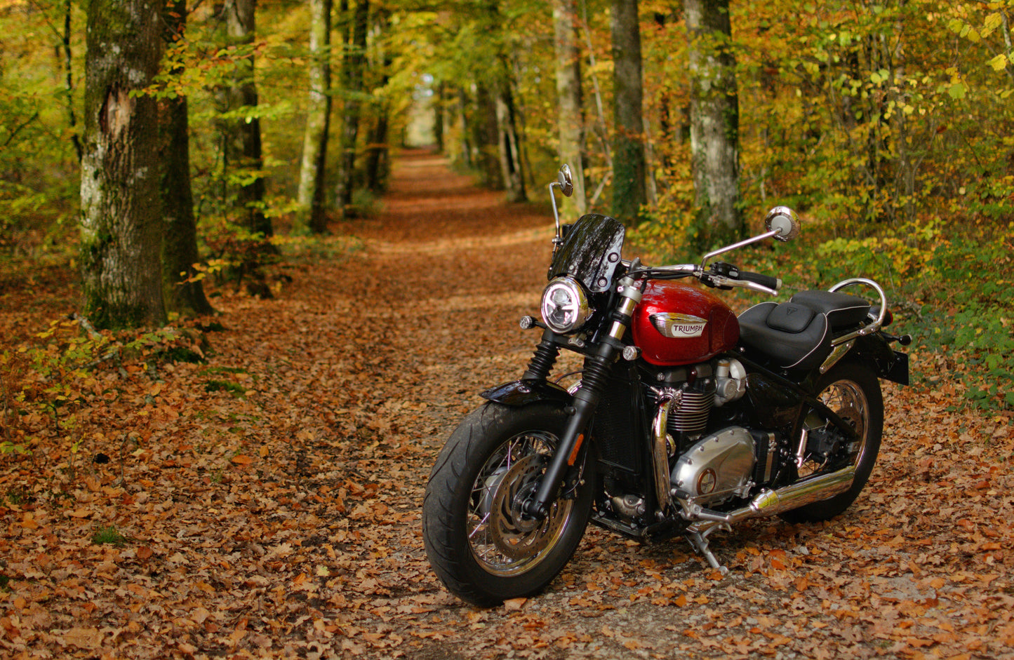 Triumph Speedmaster 1200